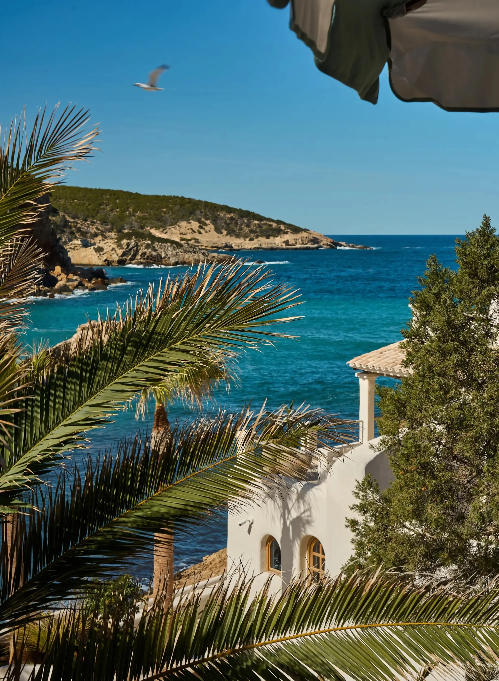 Beachfront & Vineyard Views Luxury Villas | Ultimate Villas